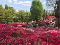 根津神社(東京都)