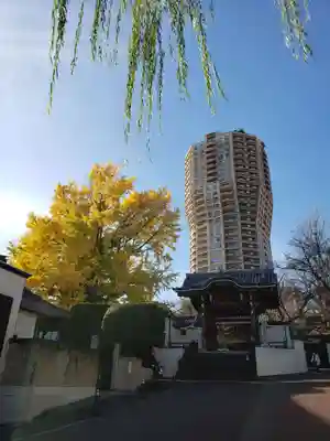 善福寺の山門・神門