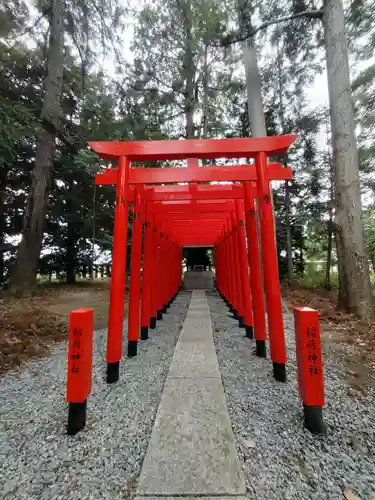 甲斐國一宮 浅間神社の鳥居