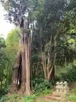 若宮八幡神社(千葉県)
