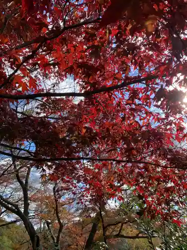 犬山寂光院(愛知県)