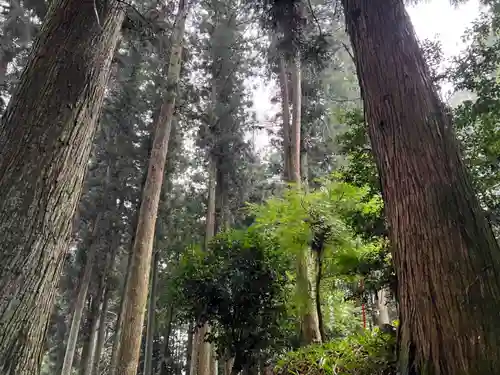 大宮温泉神社(栃木県)