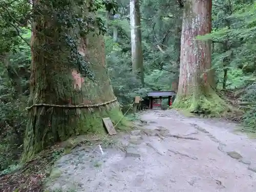 三佛寺の建物その他