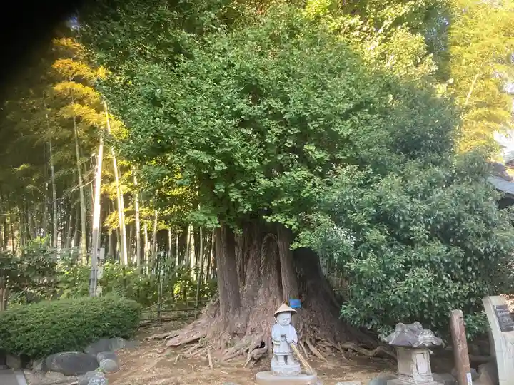 影向寺(神奈川県)