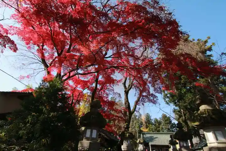 神炊館神社 ⁂奥州須賀川総鎮守⁂の自然