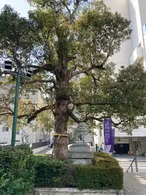 城岡神社(静岡県)