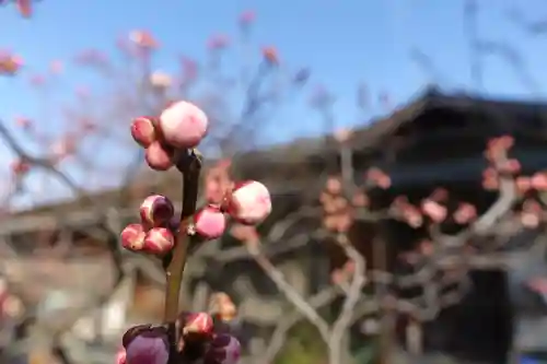 菅原天満宮（菅原神社）の自然