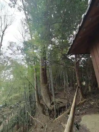 足尾山神社の自然