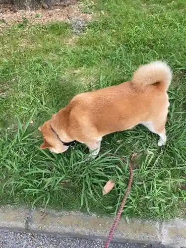 笠䅣稲荷神社(神奈川県)