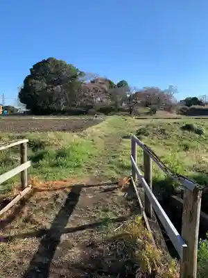 慈恩寺(埼玉県)