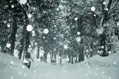 飯笠山神社(長野県)