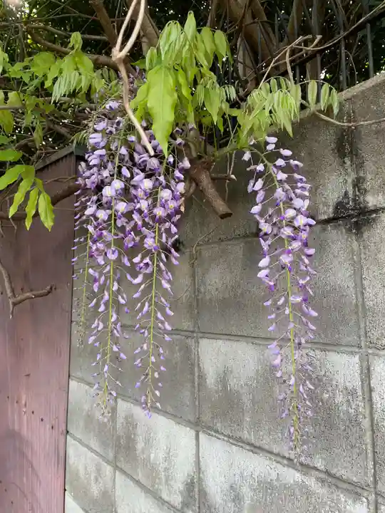 豊康龍神(京都府)