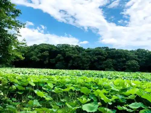 水沼神社の自然