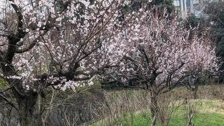 智積院(京都府)