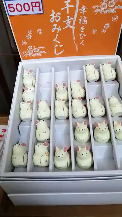 加藤神社のおみくじ