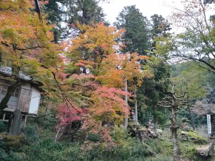 華厳寺の自然