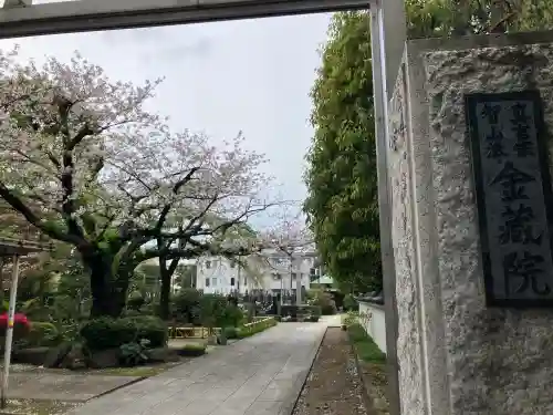 金藏院の{uncategorized: "未分類", other: "その他", undefined: "問題あり", building: "その他建物", grave: "お墓", sacred_gate: "鳥居", guardian: "狛犬", statue: "像", buddha: "仏像", history: "歴史", nature: "自然", garden: "庭園", animal: "動物", pagoda: "塔", temizu: "手水舎", mountain_gate: "山門・神門", sanctuary: "本殿・本堂", subordinate: "末社・摂社", art: "芸術", scenery: "景色", jizo: "地蔵", ema: "絵馬", goshuin: "御朱印", omikuji: "おみくじ", items: "授与品その他", amulet: "お守り", goshuincho: "御朱印帳", eats: "食事", festival: "お祭り", votive_dance: "神楽", shichigosan: "七五三参", wedding: "結婚式", experience: "体験その他", initially: "初詣", around: "周辺", anti_infection: "感染症対策"}