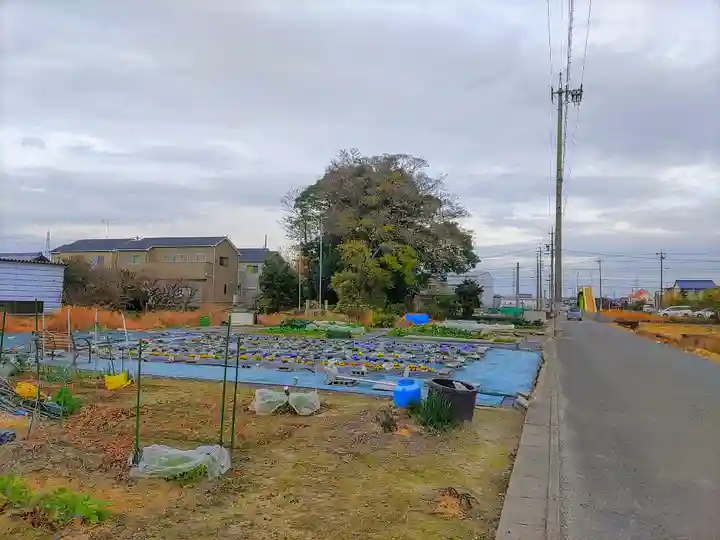 三躰社(宇治町)の自然