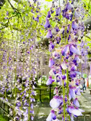 行興寺(静岡県)