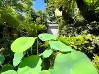 伊勢の国 四天王寺の自然