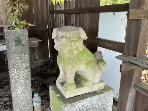 住吉神社の狛犬