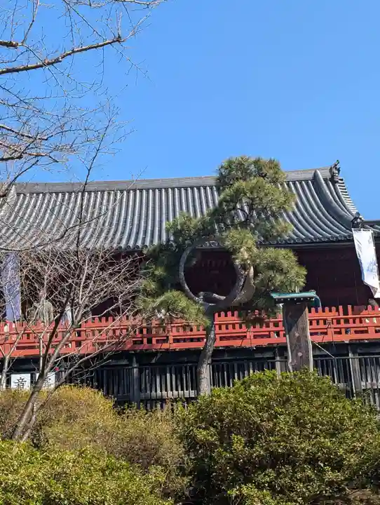 清水観音堂(東京都)