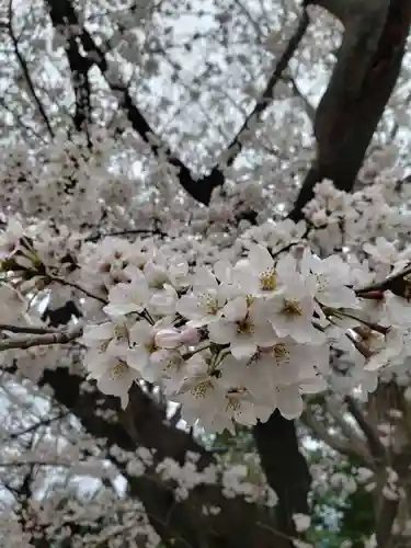 多田神社の自然