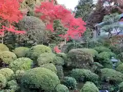 安楽寺(京都府)