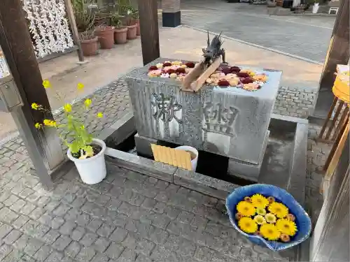 川越八幡宮(埼玉県)