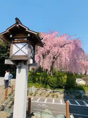 櫻木神社のその他建物