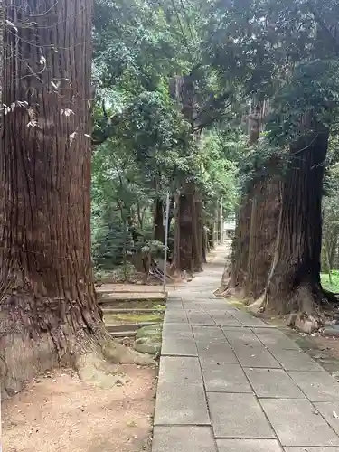 日吉神社(千葉県)