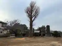 熊野神社(千葉県)