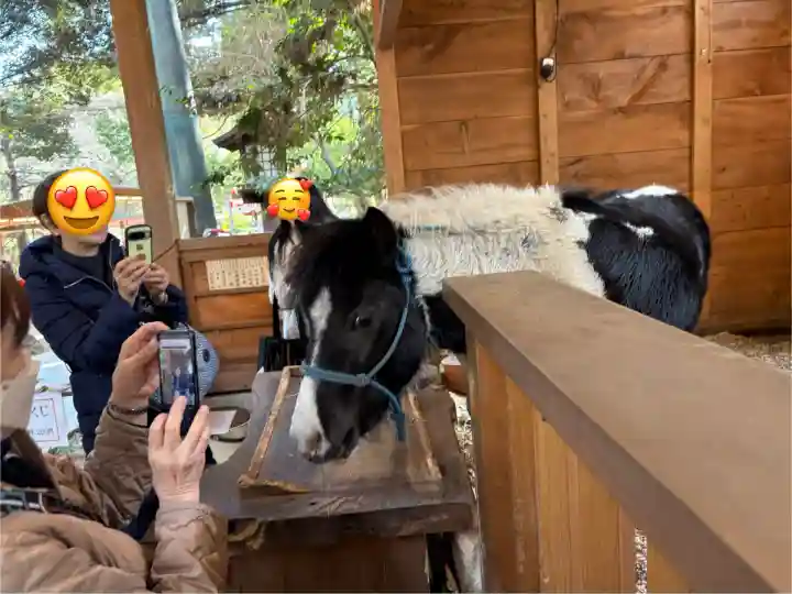 平塚八幡宮(神奈川県)