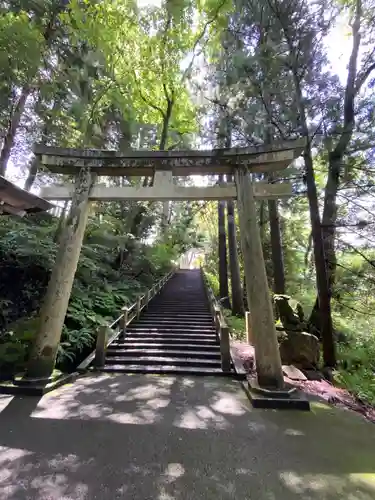 白山比咩神社の鳥居