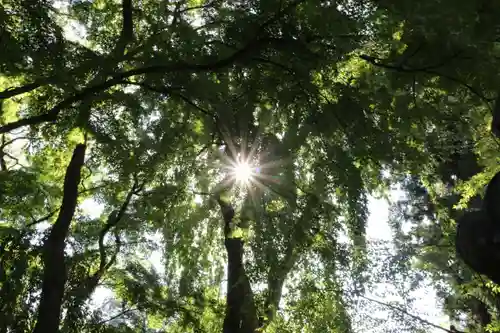 神炊館神社 ⁂奥州須賀川総鎮守⁂の庭園