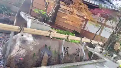 安井金比羅宮(京都府)