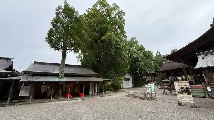 土佐神社(高知県)