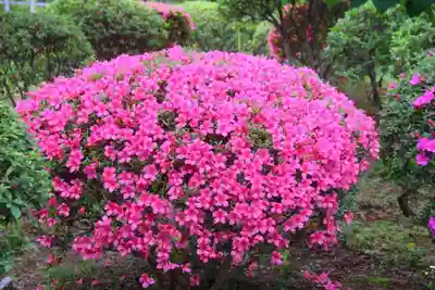 開成山大神宮の庭園