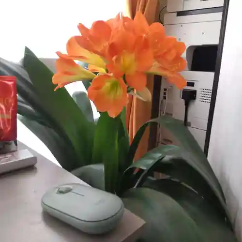 七重浜海津見神社(北海道)