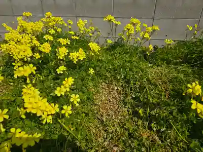 聞蔵寺(大阪府)