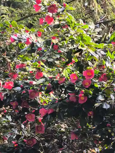 青海神社(新潟県)