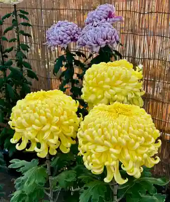 蚊里田八幡宮(長野県)