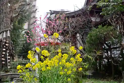 素盞雄神社の自然