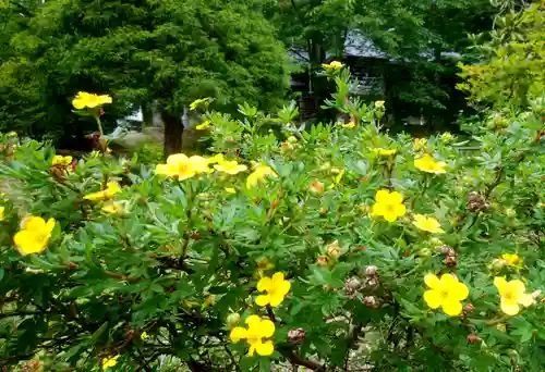 義經神社の自然