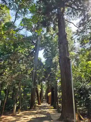 日吉神社(千葉県)