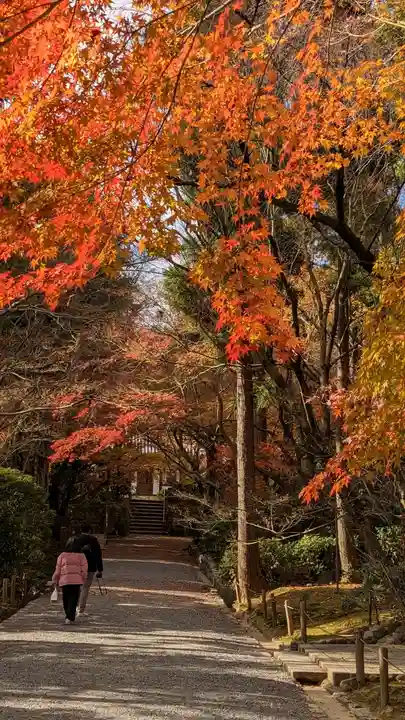 龍安寺(京都府)