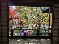 勝林寺(京都府)