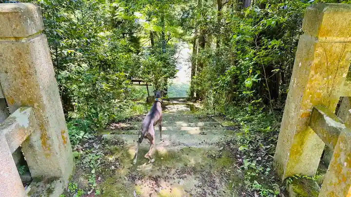 桃島神社(兵庫県)