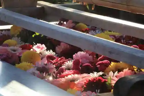 豊景神社の手水