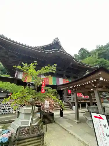 岡寺（龍蓋寺）(奈良県)